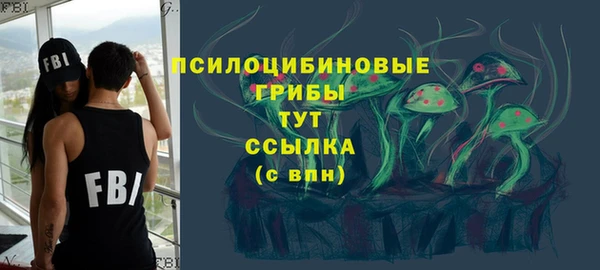 гидра Армянск