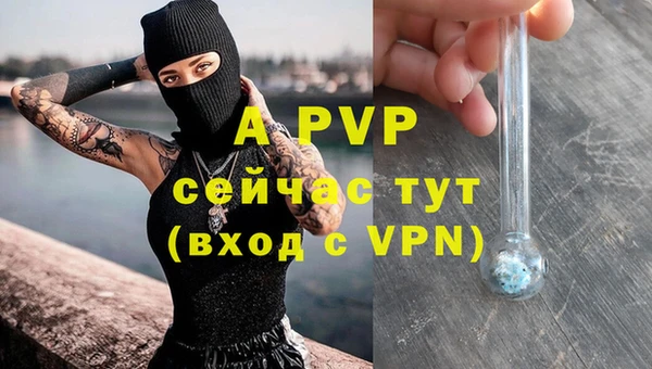 гидра Армянск
