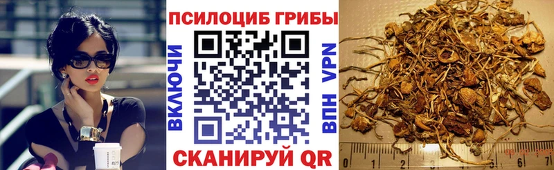 MEGA вход  Собинка  маркетплейс наркотические препараты  Псилоцибиновые грибы GOLDEN TEACHER 